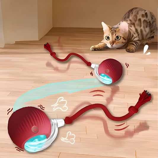 Catfri® CatBall: Automatisk Interaktiv Kul Katt Jagar Boll